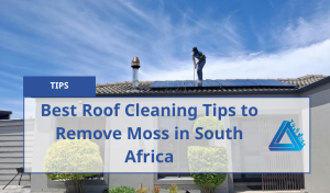 Best Roof Cleaning Tips To Remove Moss In South Africa