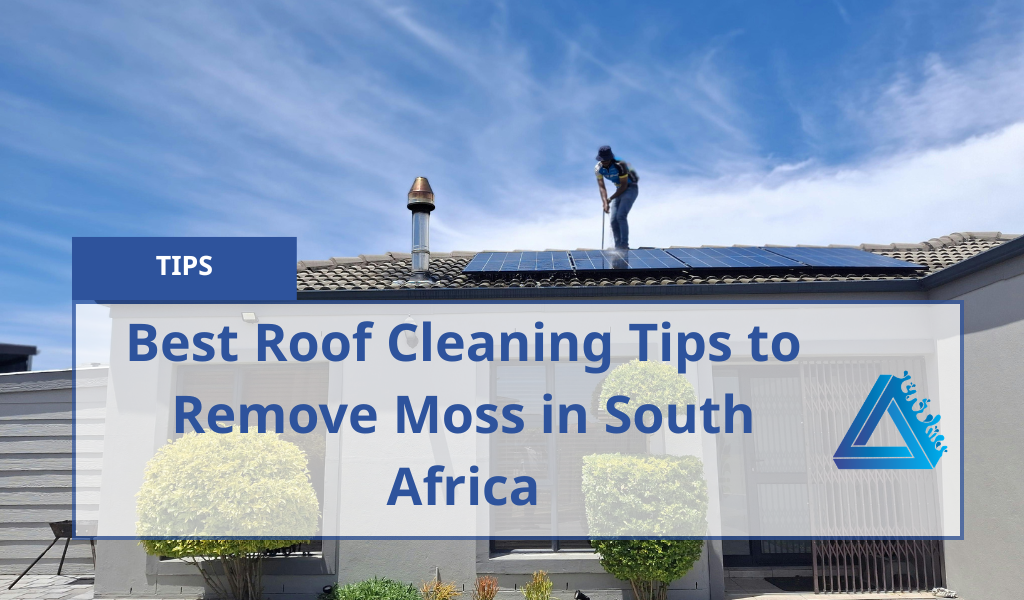 Best Roof Cleaning Tips To Remove Moss In South Africa